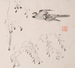 shi Z Hu Zのページもございます。