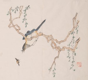 shi Z Hu Zのページもございます。