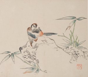 shi Z Tiger Zのページもございます。