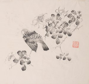 shi Z Hu Zのページもございます。