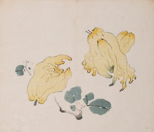 shi Z Hu Zのページもございます。 作： Unbekannt