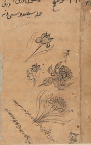 テイルズオブオウムトゥティーナマのページ：テキストページ、c。 1560年。 作： Unbekannt
