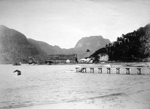 パゴパゴハーバー、トゥトゥイラ島、アメリカ領サモア、1889年