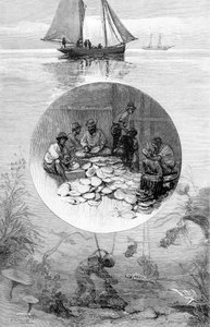 パールフィッシャリー、トーレス海峡、オーストラリア、1886 作： Unbekannt