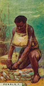 Pearls 1. Native Diver at Work、セイロン、1928 作： Unbekannt
