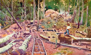 アマゾンの森を貫く-マデイラ=マモレ鉄道、1914 作： Unbekannt