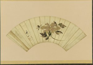 牡丹、19世紀初頭。 作： Unbekannt
