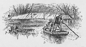湖でのスズキ釣り、1883 作： Unbekannt