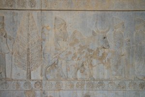 ペルセポリス（イラン）（写真 作： Unbekannt