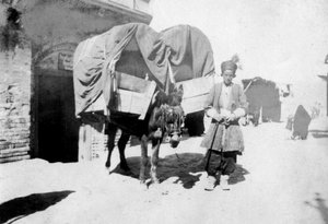 ペルシャロバ輸送、バグダッド、イラク、1917-1919