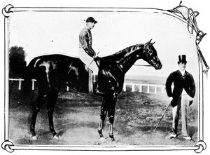 柿、1911