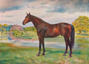 柿、c1905 c1910 作： Unbekannt