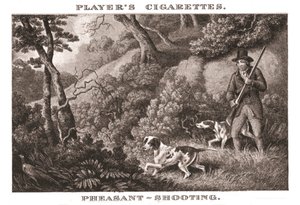キジ撮影、1924年。 作： Unbekannt
