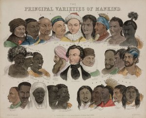 人相学「人間の主な種類」1850年5月3日 作： Unbekannt