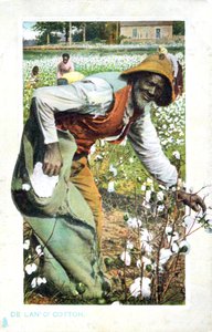 ピッキングコットン、アメリカ、ポストカード、c1900 作： Unbekannt