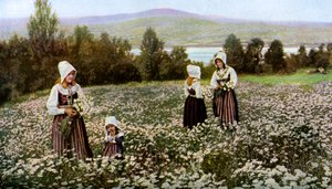 スウェーデン、レクサンド近郊の牧草地で花を摘むc1923 作： Unbekannt