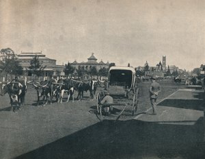 ピーターマリッツバーグ、c1900。 作： Unbekannt