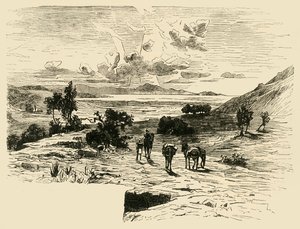 マラソンの平原、1890年。 作： Unbekannt