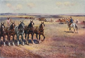 大規模な耕作、1923年。 作： Unbekannt