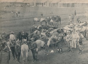 Plumers Horse、c1900。