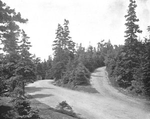 ポイントプレザントパーク、ハリファックス、ノバスコシア、カナダ、c1900。 作： Unbekannt