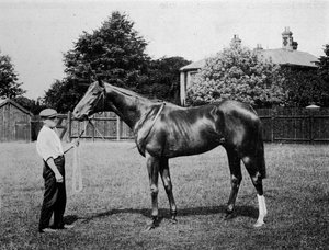 ポーラースター、1911 作： Unbekannt