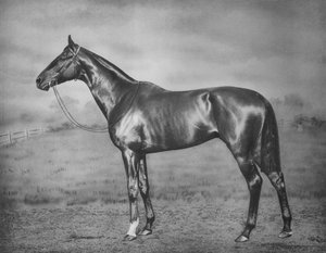 ポリメロス、1902-1924、1911 作： Unbekannt