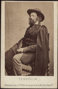 アルフレッド・ロード・テニソンの肖像 1809-1892年 1861年