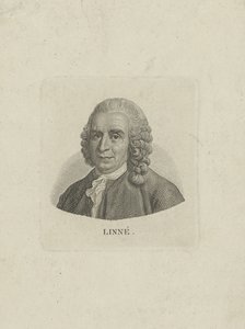 カール・リンネ1707-1778の肖像c。 1780。 作： Unbekannt