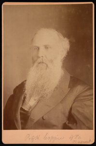 ヘンリー・コッピーの肖像1821-1895年、1875年。 作： Unbekannt