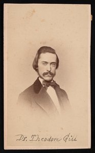 セオドア・ニコラス・ギルの肖像、1837～1914年、1860年代頃。 作： Unbekannt