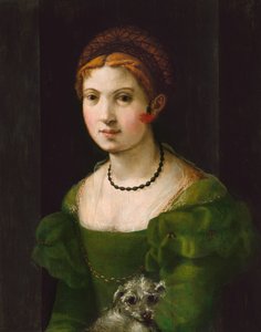 若い女性の肖像、15301540。 作： Unbekannt
