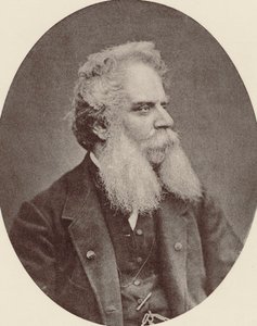作曲家フェデリコ・リッチの肖像 1809-1877年、c. 1870年。