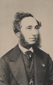 ヴァイオリン奏者で作曲家のカミーロ・シヴォリの肖像 1815-1894 年、1865 年頃。 作： Unbekannt
