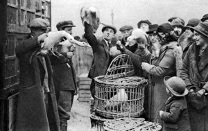 家禽商、カレドニアンマーケット、ロンドン、1926-1927