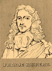 ルパート王子、1619年-1682年、1830年。