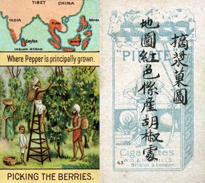 ウィルス社が中国市場向けに制作した "Product of the World "シリーズのシガレットカードのうち、胡椒が生産されている主なエリア 作： Unbekannt