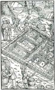 塩田で海水を蒸発させて塩を製造、1556 作： Unbekannt