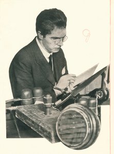 Low propounds教授：完璧の質は分析を否定するが、それはそれが重要である 作： Unbekannt