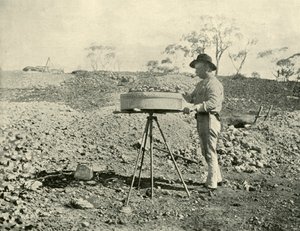 リースの調査、1901年。