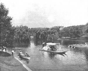 パブリックガーデンと湖、ボストン、米国、c1900。 作： Unbekannt