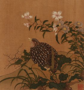 ウズラと花、清王朝、18 世紀。