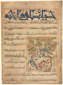 動物の有用性に関するマナフィ・アル・ハヤワンのリングドーブの品質c。 1300。