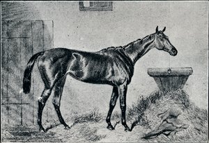 ベルタ女王、19世紀、1911 作： Unbekannt