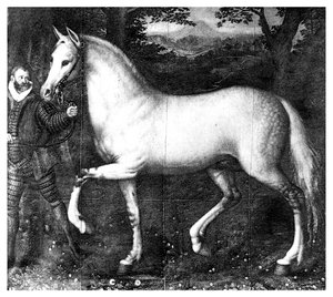 エリザベス女王は馬、1896年 作： Unbekannt
