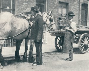 馬を検査するRSPCA検査官、c1903 1903