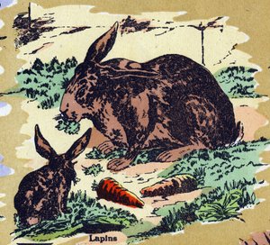 うさぎとにんじん。イラスト入りのアルファベット。20世紀初頭、ジャーヴィル＝ナンシーで再会したイメジェリー。寸法：40 x 29 cm。ビストル地にリトグラフ 作： Unbekannt