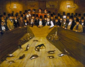 「フィンズベリー、バンヒル ロウ、ブルー アンカー タバーンでのネズミ捕り」、1850 年頃 作： Unbekannt