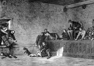 ラットの戦い、フランスのルイ11世の再現、1461-1483 1882-1884