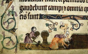 Luttrell Psalterからのシーブの刈り取りとバインド1330年頃 作： Unbekannt